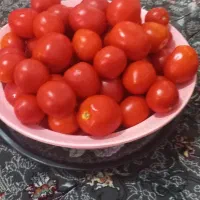 ترشی لوبیا سبز