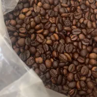 فروش قهوه ۷۰ روبوستا