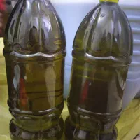 روغن زیتون طارم