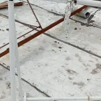 تالب بچه تازه