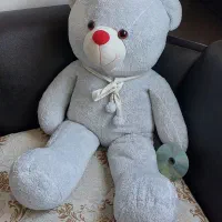 سرگرمی عروسک خرسی