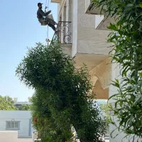 خدمات راپل و کار با طناب در کیش تضمینی بدون داربست
