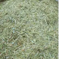 کاه عدس