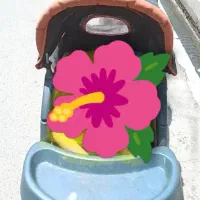 کالسکه رایگان