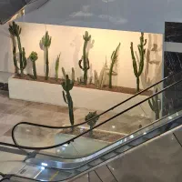 استخدام نظافتچی بازنشسته / مجتمع مسکونی