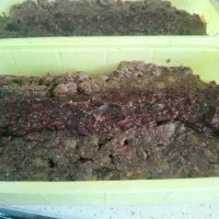 زیتون شور و پرورده گردویی سنتی