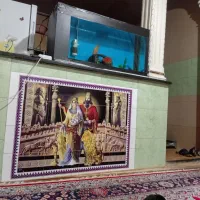 فروش ماهی پرت