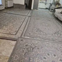 مرتضی گرد نزدیک مترو  آزادگان 75 متر