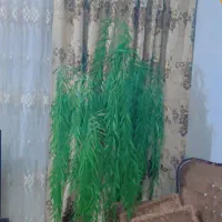 گل مصنوعی درختچه بید مجنون