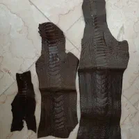چرم ساق پای شتر مرغ