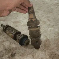 دو تنه قلون