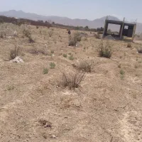 زمین