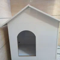 لانه سگ