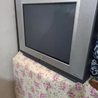 تلویزیون