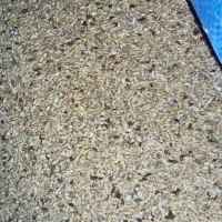 جو چاق|کالسکه و لوازم جانبی|اراک, |دیوار