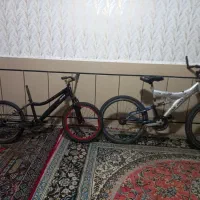 دوعدد دوچرخه 24.20.