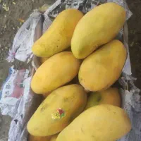 انبه فروشی