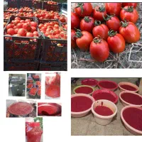 فروش رب خانگی (از تولید به مصرف)