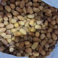 خرما کباب تازه و عسلی