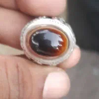 کتبت د ع ا کلیمی