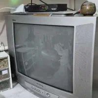 تلویزیون