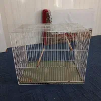 قفس
