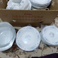 آرکوپال رومانتیک