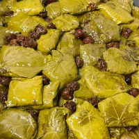 دلمه برگ مو