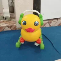 جوجه اردک ۲منظوره