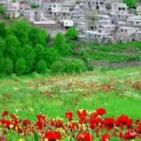 سفر با صبحانه ناهار شام و هتل