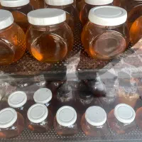 فروش عمده عسل و روغن زیتون ارگانیک ، روغن کنجد