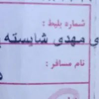 کیف کارت گمشده مهدی شایسته پور