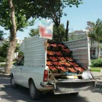 اجاره وانت