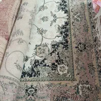 فرش|فرش|گرگان, |دیوار