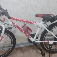 دوچرخه ۲۴ نو اکبند