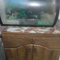 اکواریوم