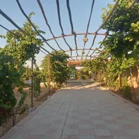 فروش-باغ-ویلا-حدود-1500-متری-در-قلعه-سفید