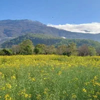 زمین باغی و کشاورزی