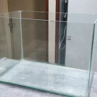 اکواریوم