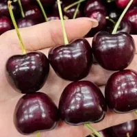 گیلاس قرمز