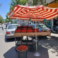 چتر سایه بان بساط قزوین