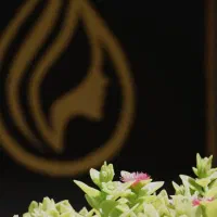استخدام مشاوره تلفنی کلینیک زیبایی