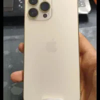13پرومکس