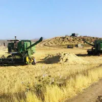 فروش-زمین-کشاورزی6-5هکتار