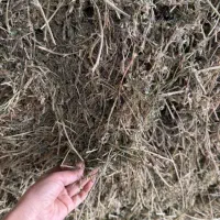 علف خشک یونجه