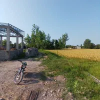 پلاک ۲۱۰ م / منظره شالیزار