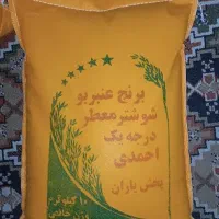 پخش مستقیم برنج احمدی‌باضمانت‌مرجوعی
