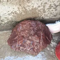سنگ مشکوک به شهاب