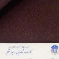 کارت شناسایی وسیله نقلیه(پیداشده)