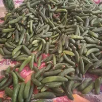 خیار سراب